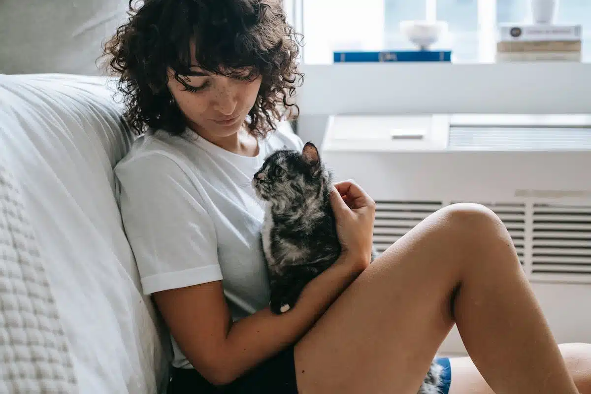 chat dermatologie