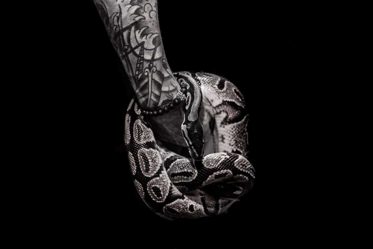 tatouage animal