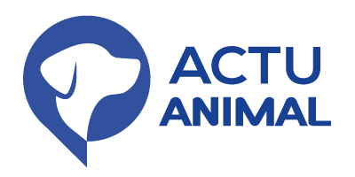 Actu Animaux