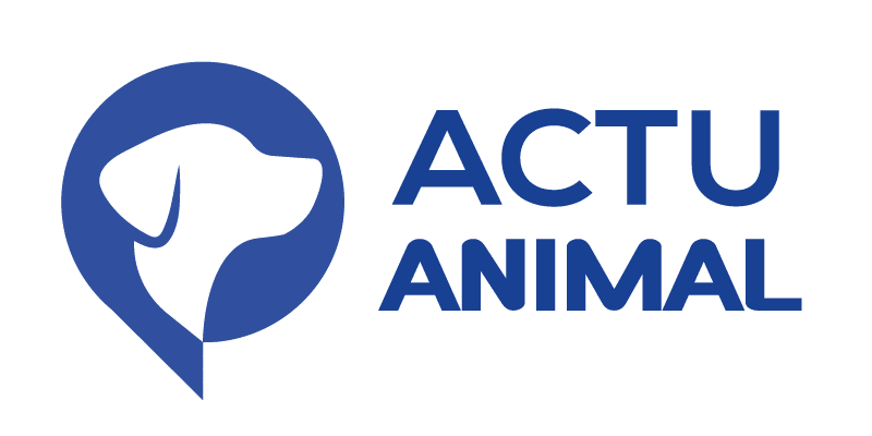 actu-animaux.fr