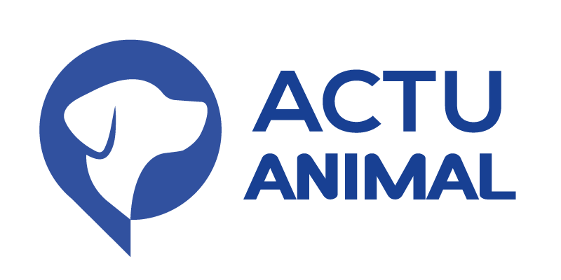 Actu Animaux