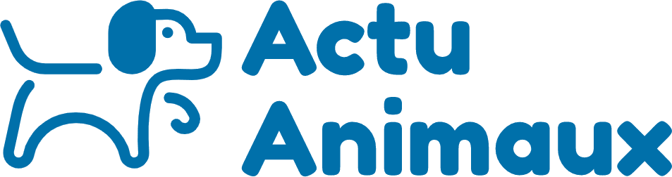 actu-animaux.fr