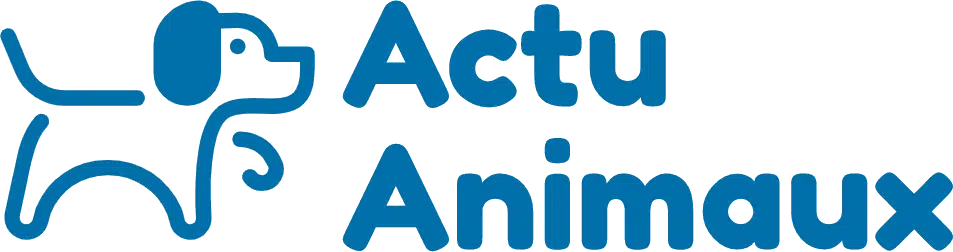 Actu Animaux